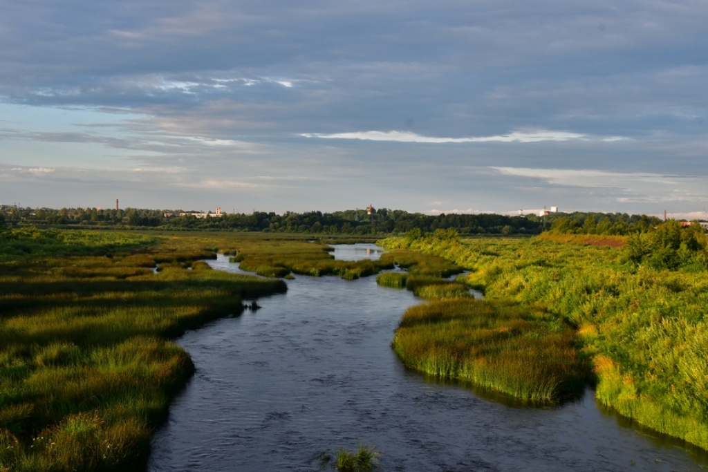 Darba devēji līdz 4.augustam vēl var pieteikties subsidēto darba vietu izveidei NVA filiālēs Cēsīs, Daugavpilī, Dobelē, Jēkabpilī, Kuldīgā, Liepājā, Ogrē un Talsos