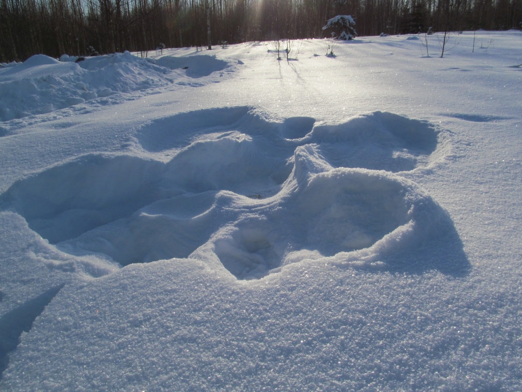 Jēkabpils apkārtnē sniega segas biezums nepārsniedz 5-10 centimetrus; sals valdīs visu nedēļu