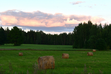 Jēkabpilī šorīt bijis vēsākais saullēkts valstī; Līdz sestdienai būs daudz lietus un negaisa mākoņu