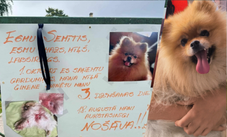 Pagājis vairāk kā mēnesis kopš Semīša nošaušanas Jēkabpilī. Vainīgais joprojām nav saukts pie atbildības