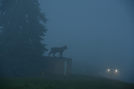 Sākas gada tumšākie trīs mēneši