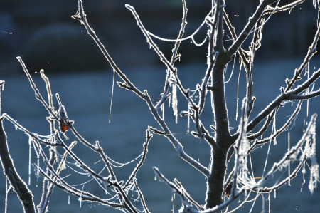 Novembra sākumā Jēkabpilī fiksēta zemākā temperatūra valstī  