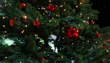 Aizvadīts pirmais Audžuģimeņu Ziemassvētku pasākums Jēkabpils novadā