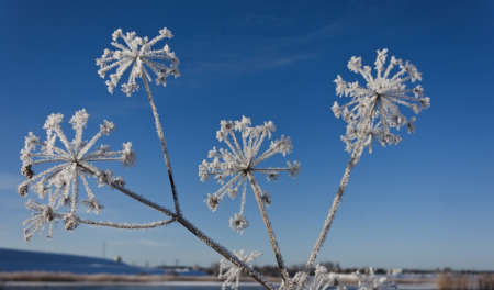 Ziemassvētku brīvdienas varētu sākties ar kailsalu
