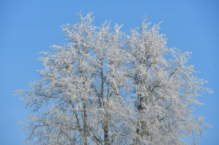 Arī nākamo nedēļu prognozē aukstu