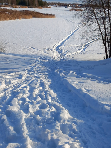 Februāra pēdējā nedēļā laika apstākļi Latvijā būs mainīgi