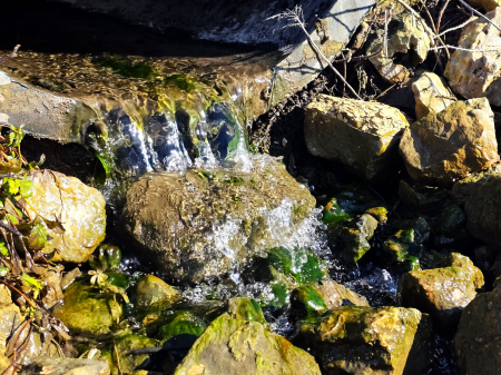 Šonedēļ gaidāmi jauni siltuma rekordi