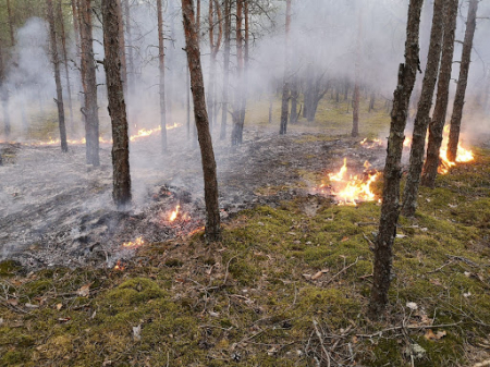 Jēkabpils novadā dzēsti trīs kūlas ugunsgrēki un meža zemsedze