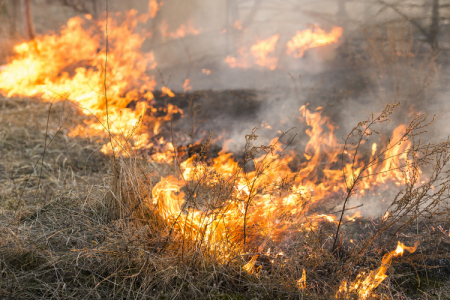 Jēkabpils novadā brīvdienās dzēsta saimniecības ēka, divi šķūņi, kā arī plaši kūlas ugunsgrēki