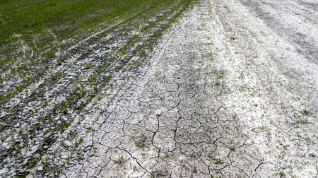 Jēkabpilī ekstremāls sausums turpinās 19 dekādes pēc kārtas, kopš pērnā gada oktobra