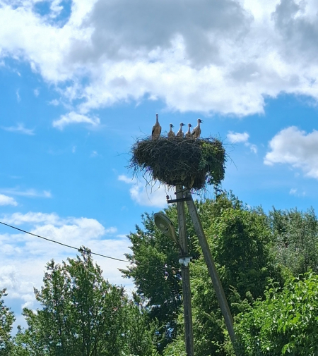 Svētdiena būs nedēļas siltākā diena