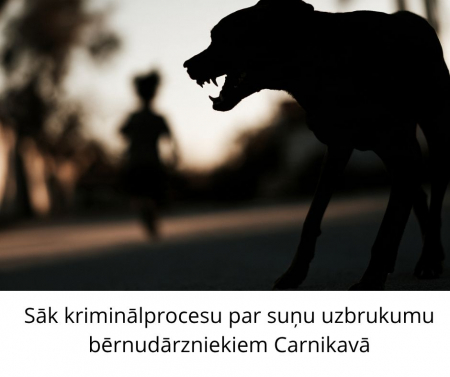Saistībā ar suņu uzbrukumu bērnudārzniekiem Carnikavā sākts kriminālprocess
