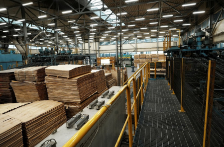 "AmberBirch" investējis aptuveni 51 miljonu eiro jaunā bērza finiera ražotnē Jēkabpils novadā