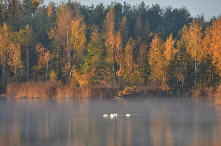 Nedēļas sākumā gaidāmas dzestras naktis