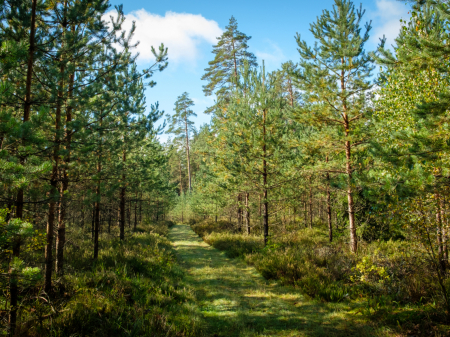 VMD noteicis mikroliegumu Jēkabpils novadā